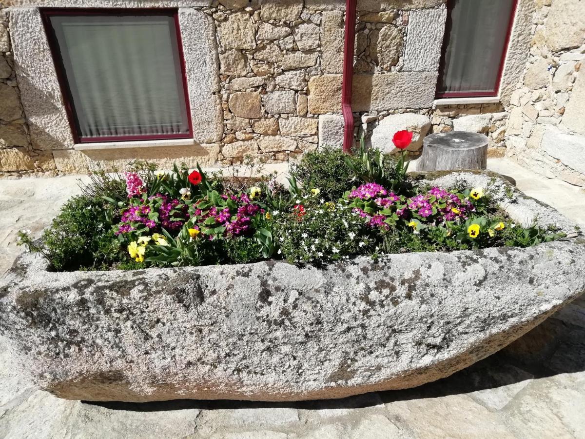 Carya Tallaya - Casas De Campo Vale das Éguas Dış mekan fotoğraf