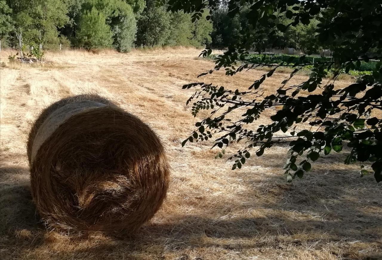 Carya Tallaya - Casas De Campo Vale das Éguas Dış mekan fotoğraf